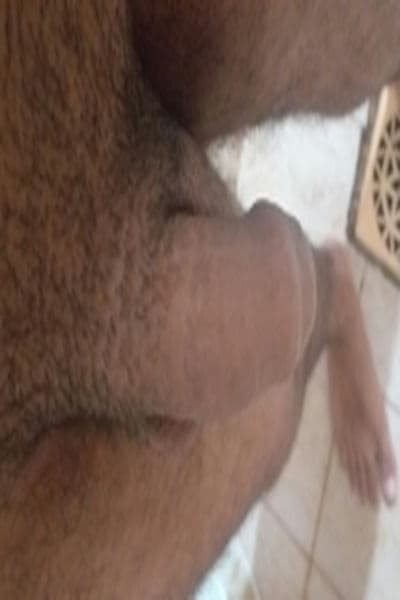 Vem se deliciar